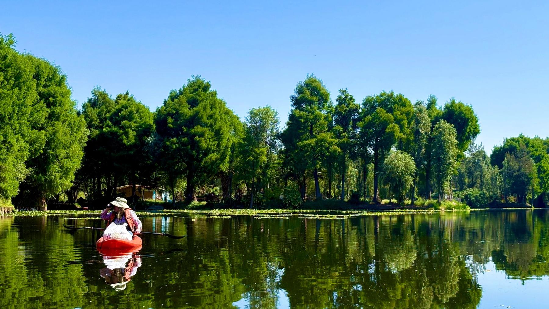 Kayak in Xochimilco: agroecological experience