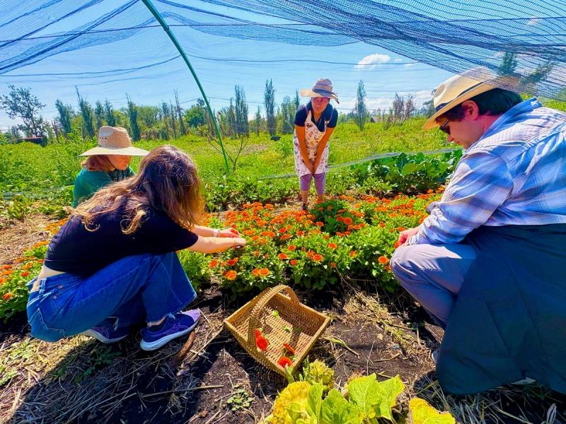 Kayak in Xochimilco: agroecological experience