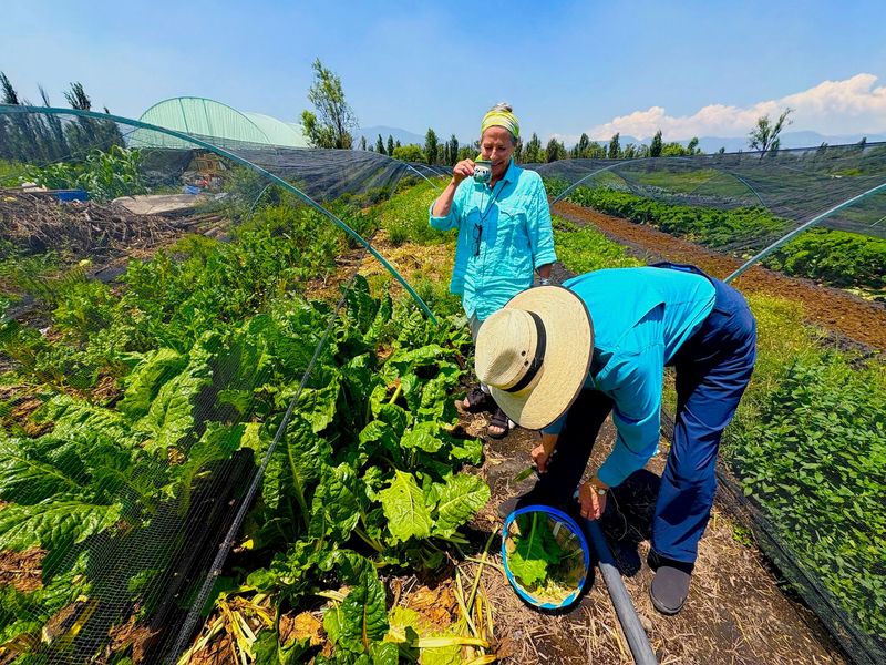 Prehispanic Xochimilco: Sailing, chinampas, axolotls and bird watching