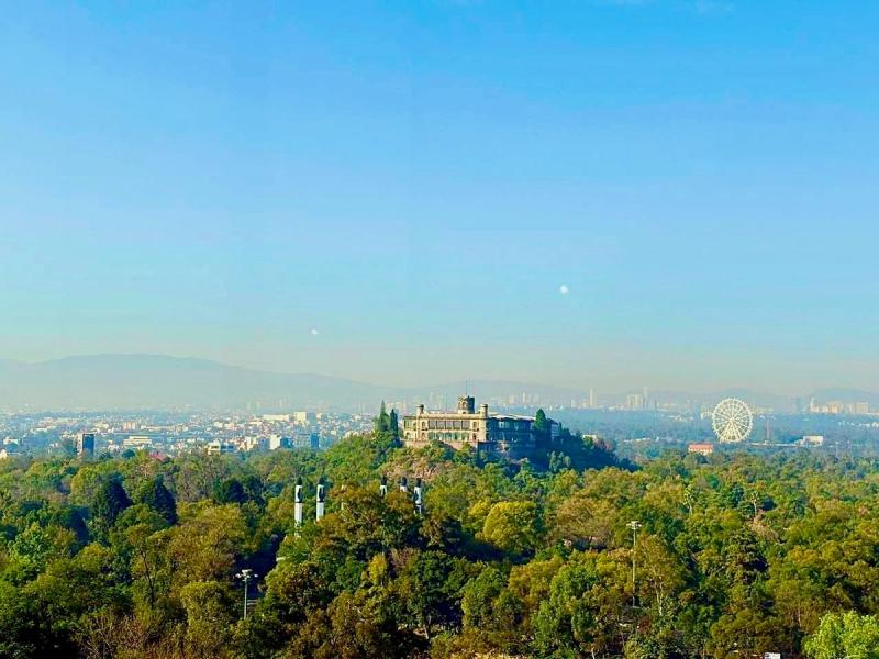Chapultepec Castle & forest: History, Nature, and Hidden Secrets