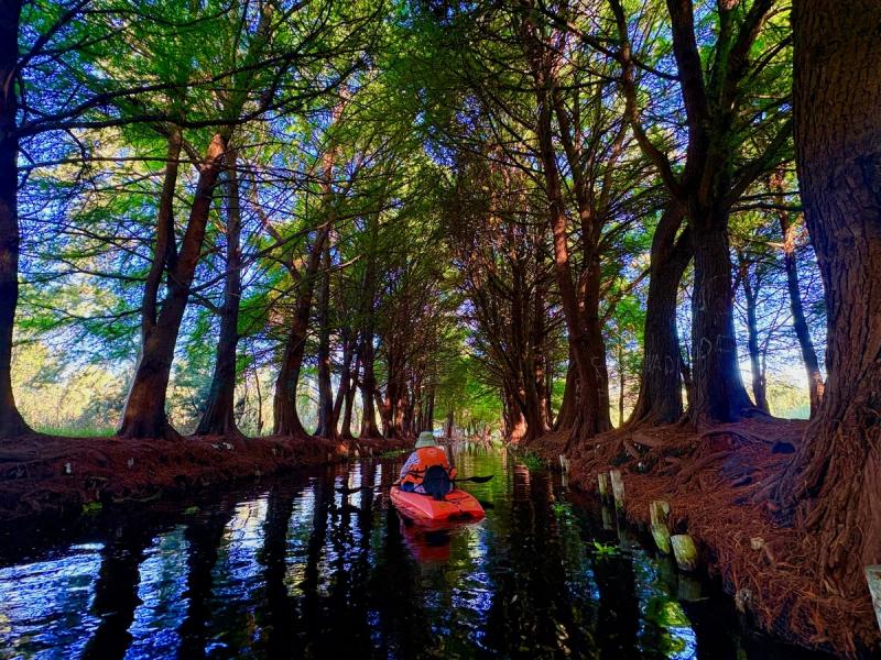 Kayak in Xochimilco: agroecological experience