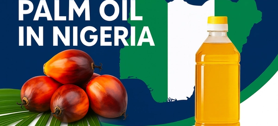 The Growing Demand for Palm Oil in Nigeria