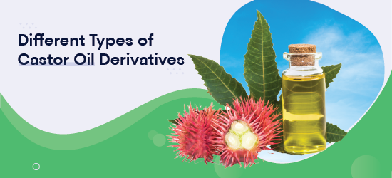 A Comprehensive Guide to Understanding The Different Types of Castor Oil Derivatives