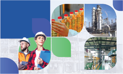 How to Choose The Right Edible Oil Plant Manufacturer to Get High Returns?