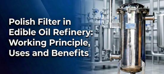 Polish Filter in Edible Oil Refinery: Working Principle, Uses and Benefits