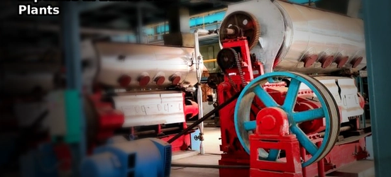 A Practical Guide to Expellers in Edible Oil Plants