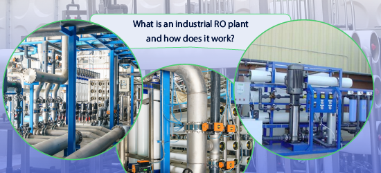 What Is an Industrial RO (Reverse Osmosis) Plant, And How Does It Work?