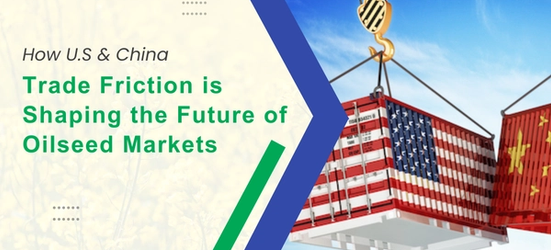 U.S.-China Trade Friction is Shaping the Future of Oilseed Markets