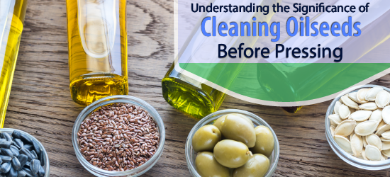 Understanding The Significance of Cleaning Oilseeds Before Pressing