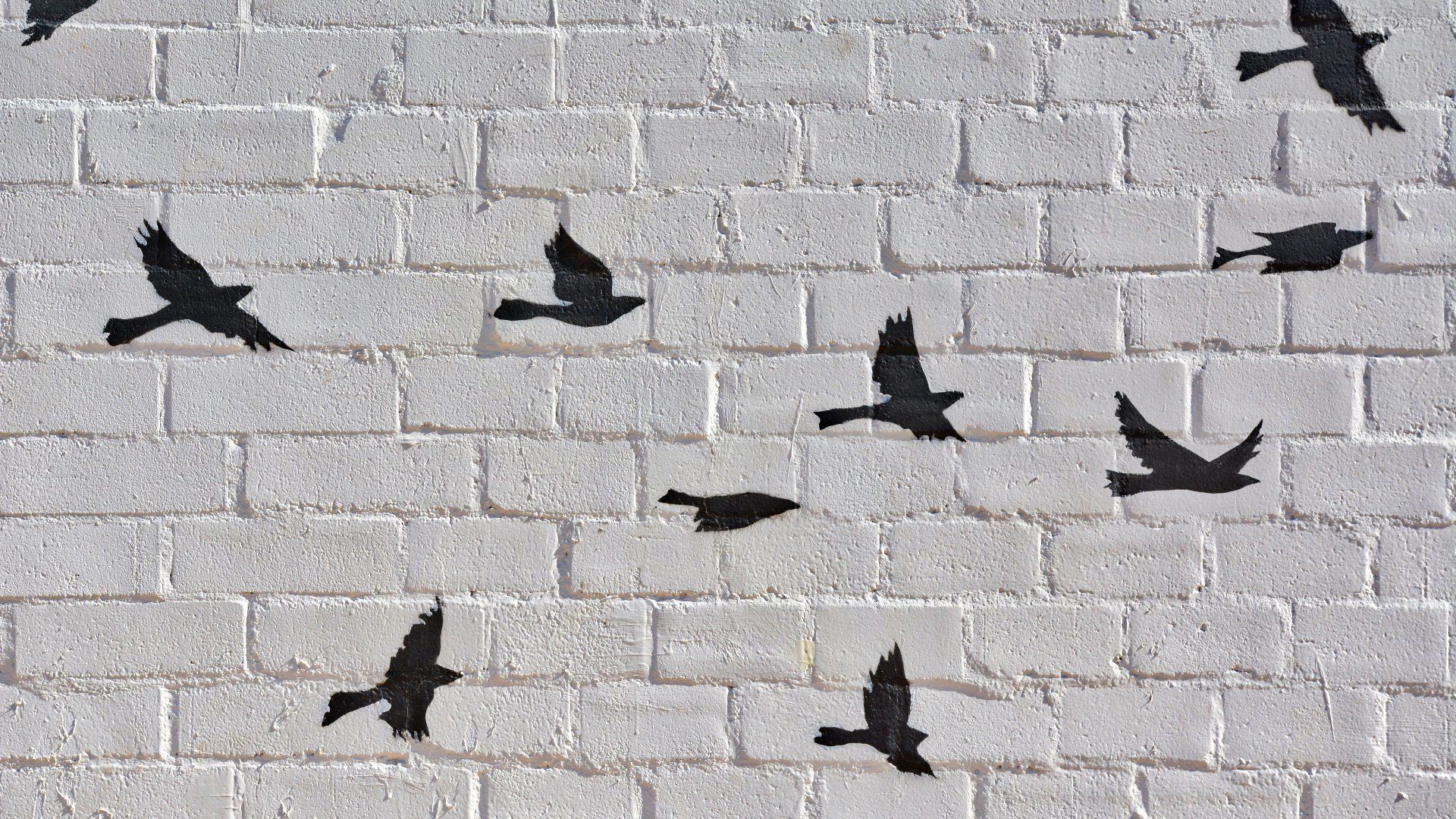 Flying birds street art on brick wall