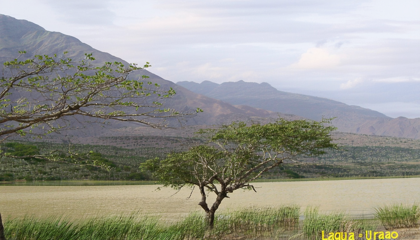 Lagunillas(M)