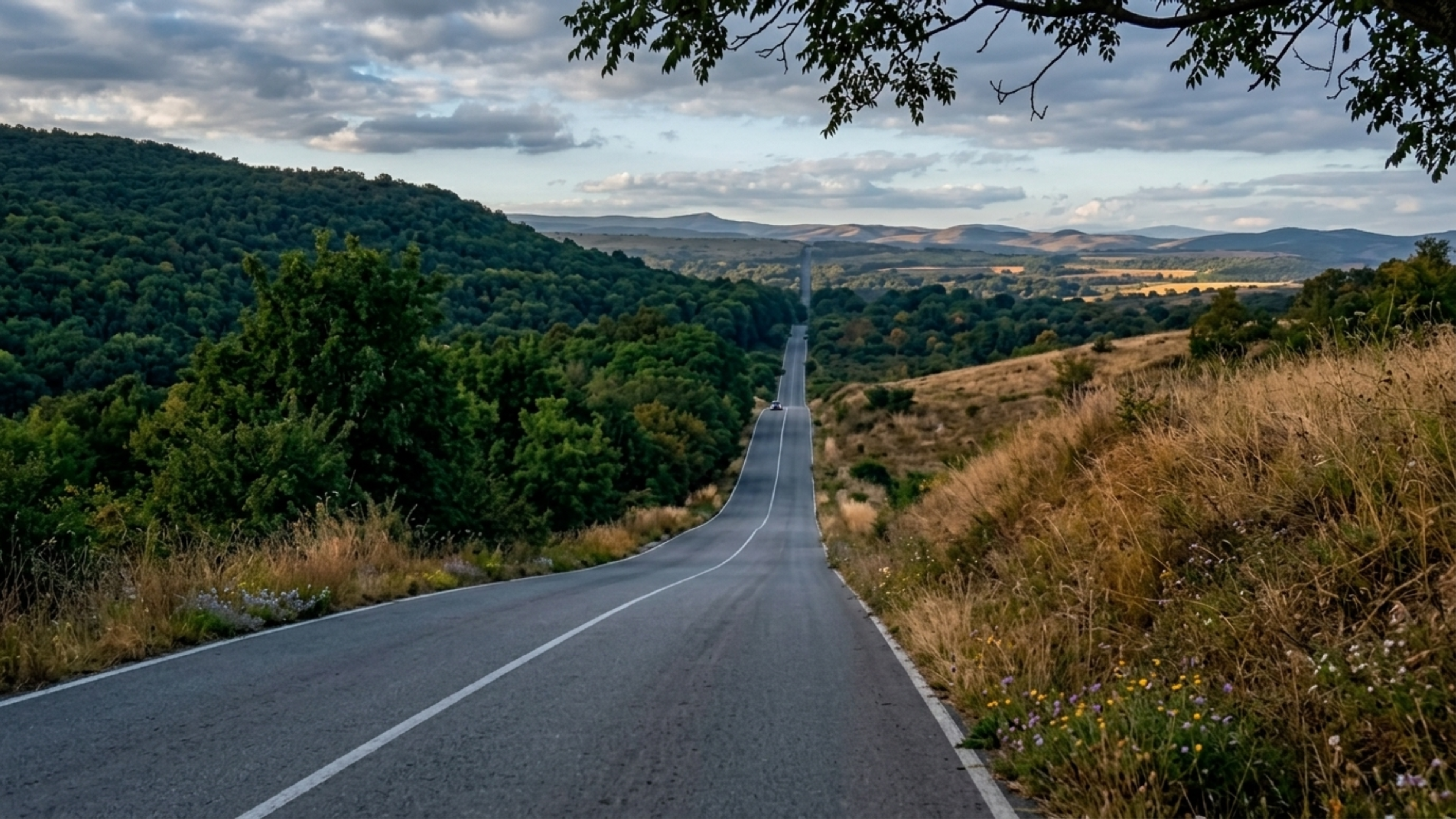 El Tejero Monagas