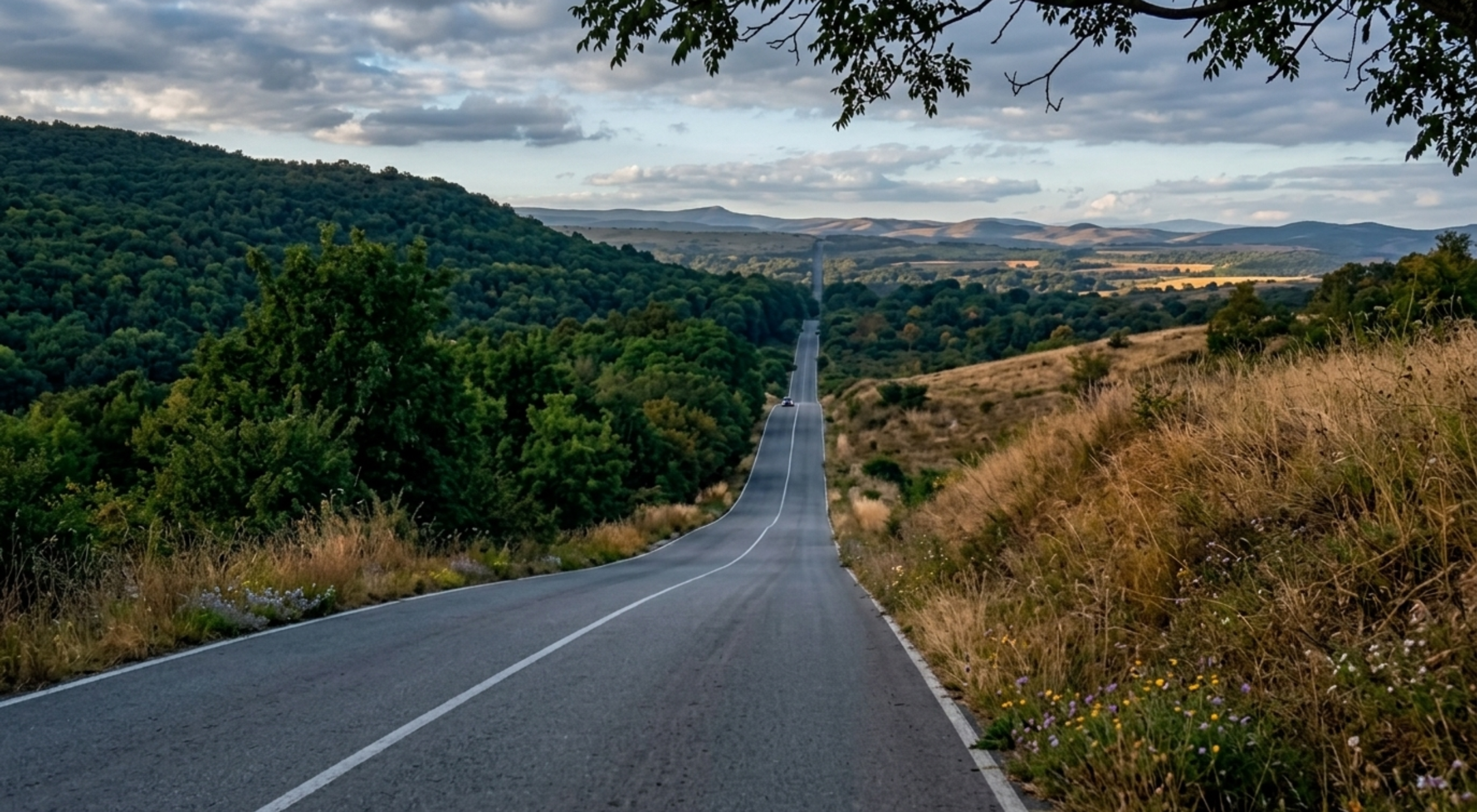 El Tejero Monagas