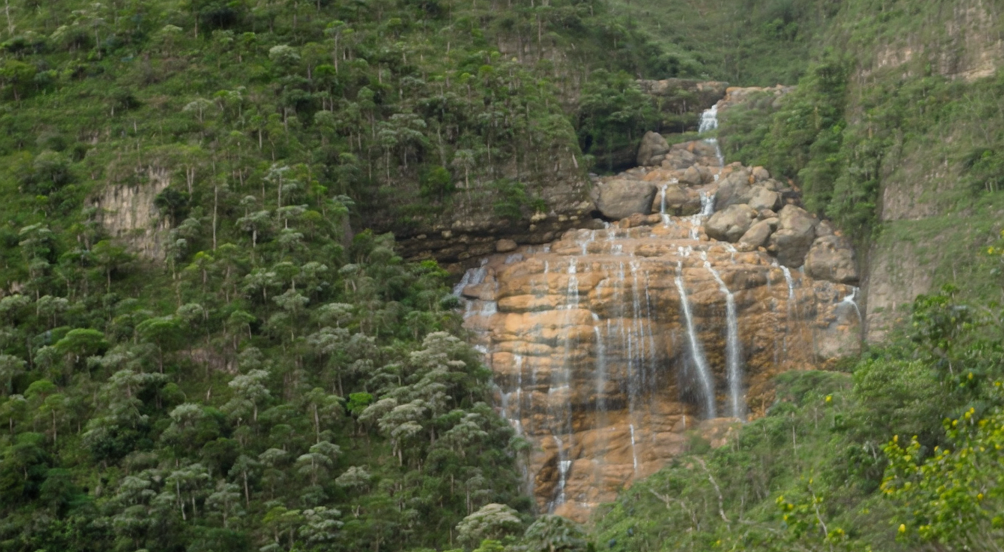 Lobatera