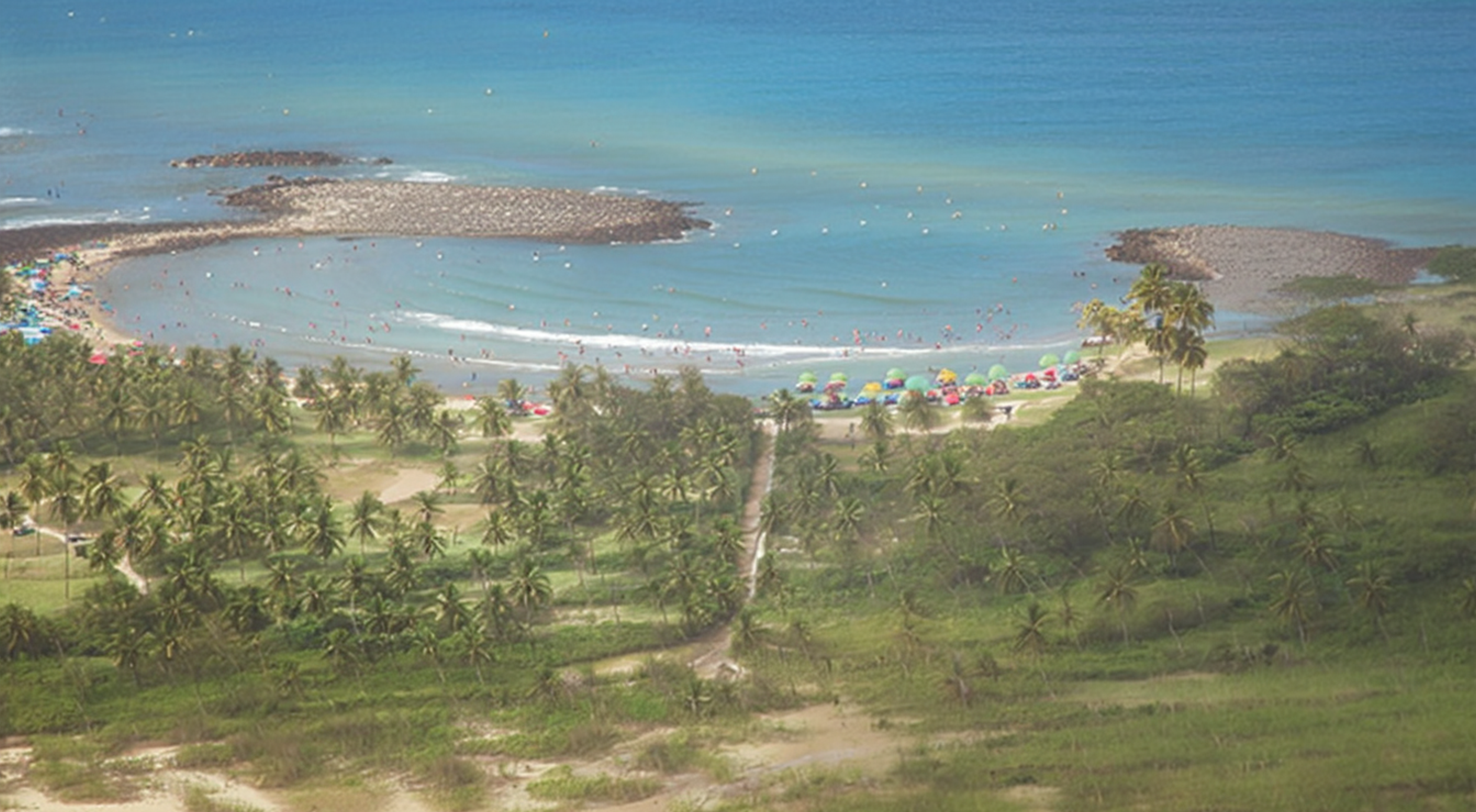 Los Corales