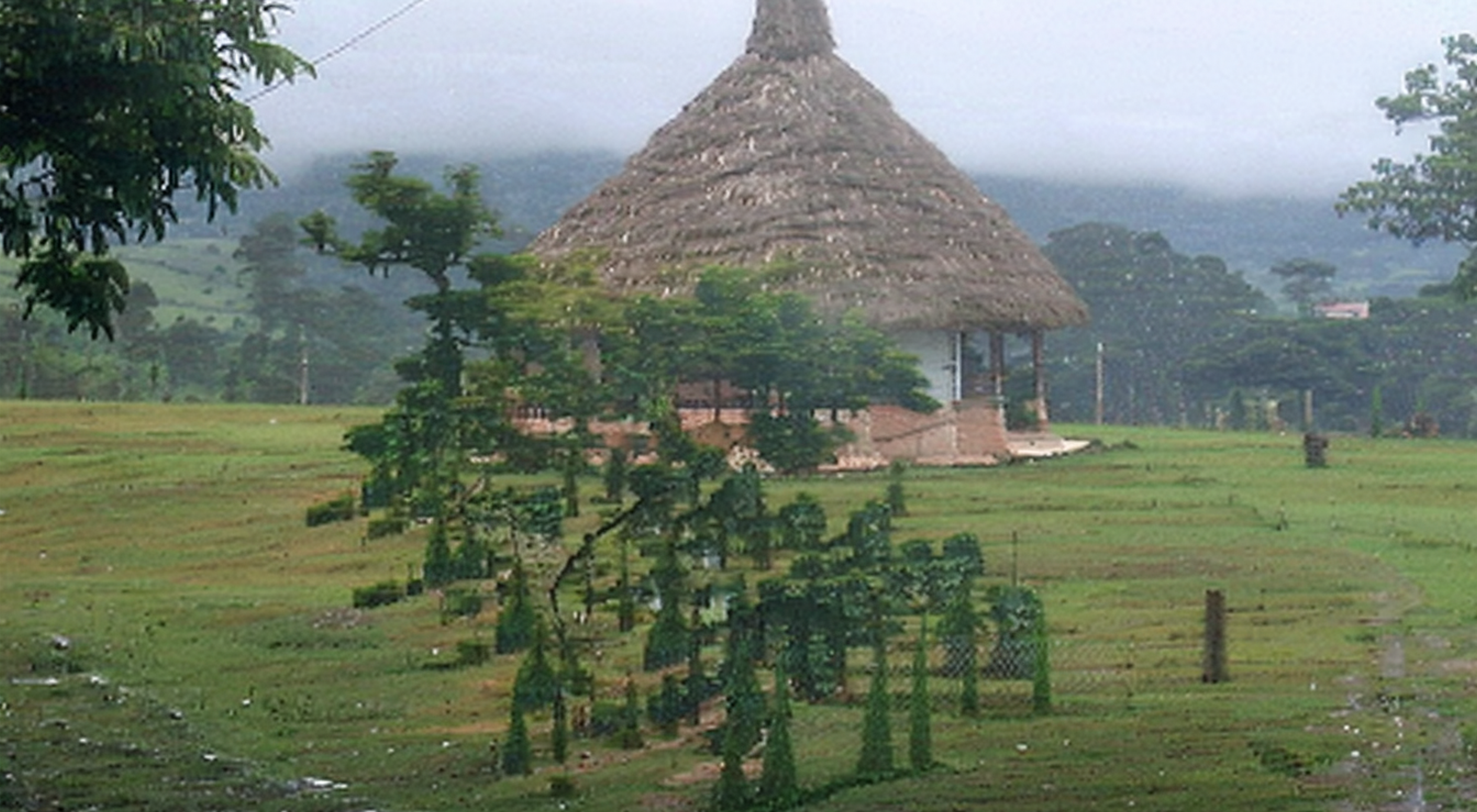 Tocuyito