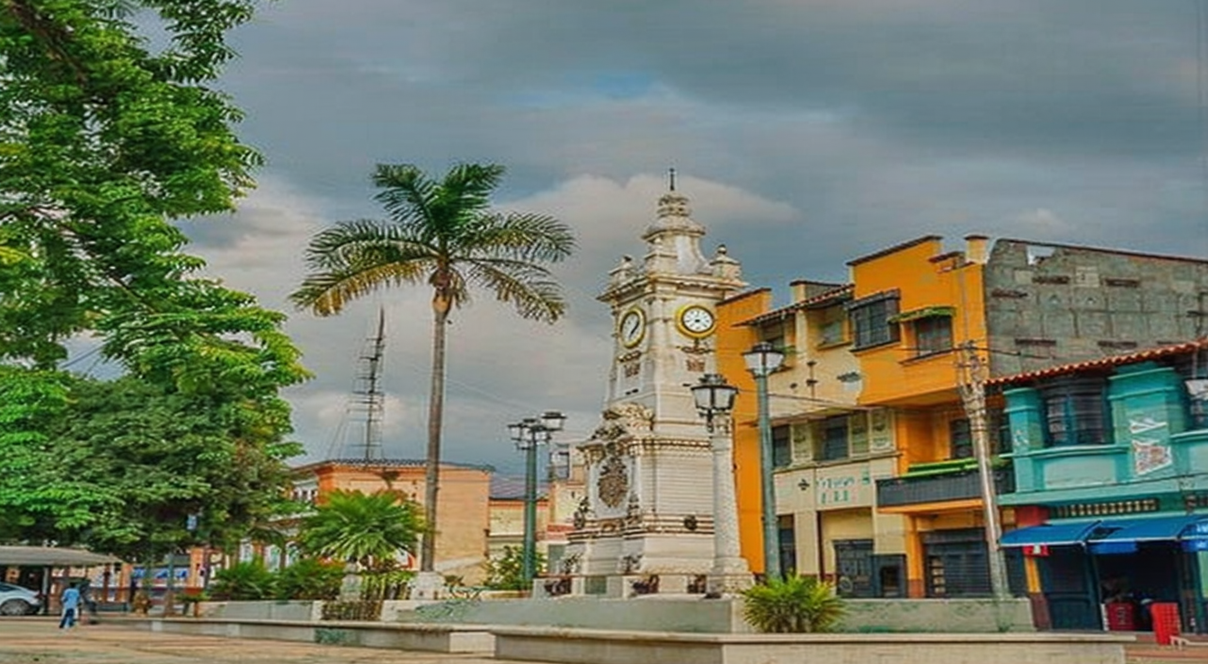Colon