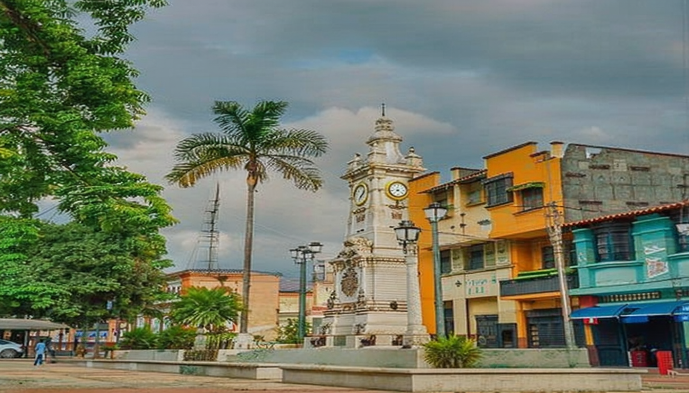 Colon
