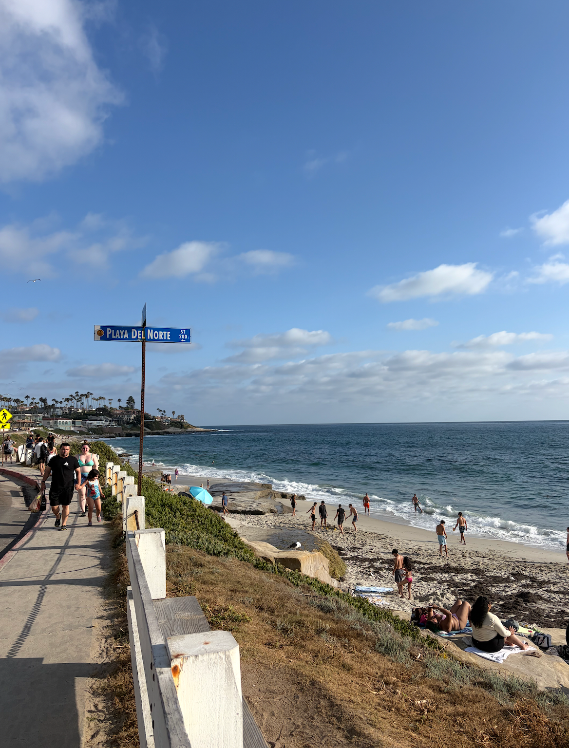 Best Hidden Beaches in San Diego: A Local's Guide Beyond the Tourist Spots