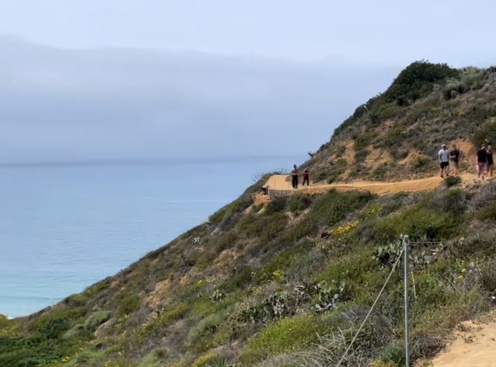 Hikers on the sandy bluff-top Guy Fleming Trail at Torrey Pines, overlooking the Pacific Ocean and coastal scrub under a marine-layer sky