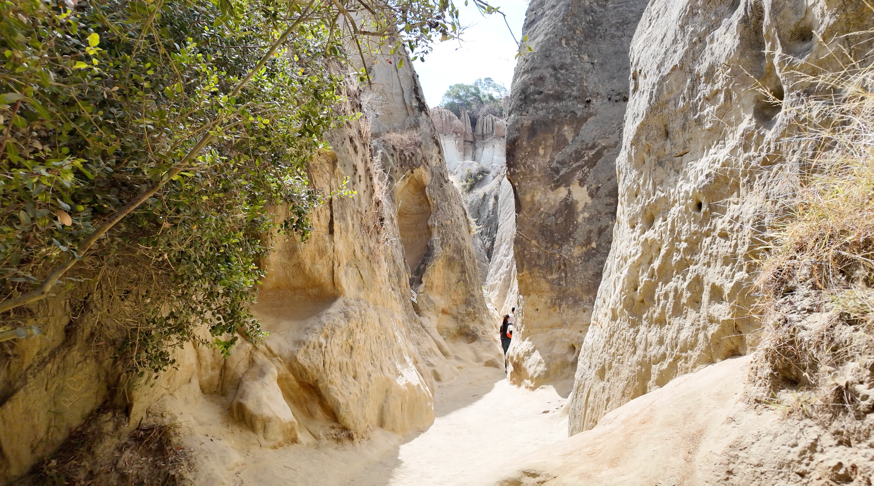 Sandy path winding between towering sandstone walls at the entrance to Annie's Canyon Trail near Encinitas, San Diego