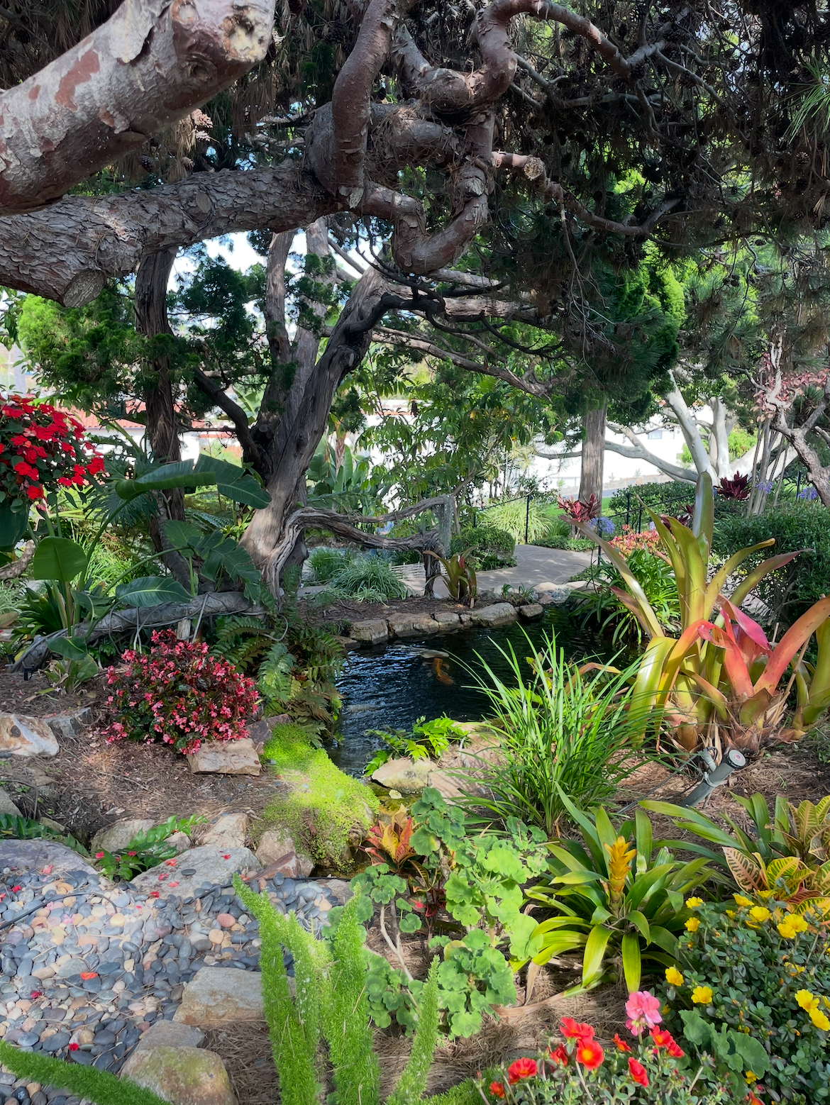 Open Air Yoga at San Diego Botanic Garden: Saturday, June 6, 2026