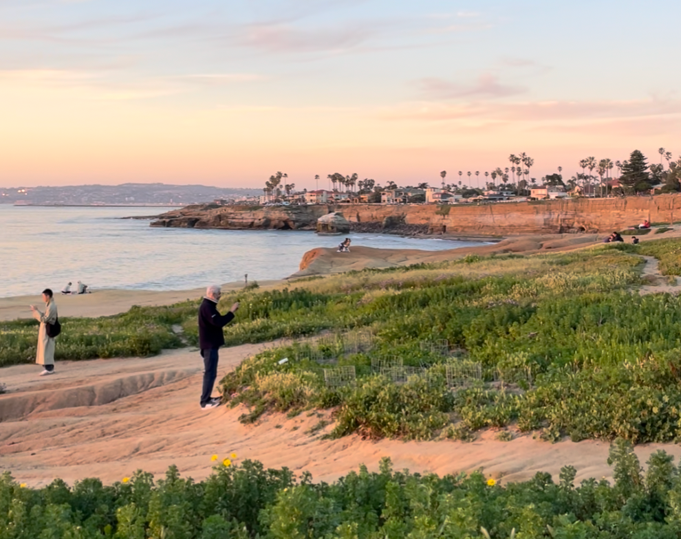 Visitors watching the sunset over the sandstone bluffs and sea caves at Sunset Cliffs Natural Park in Point Loma, San Diego, under a pastel sky