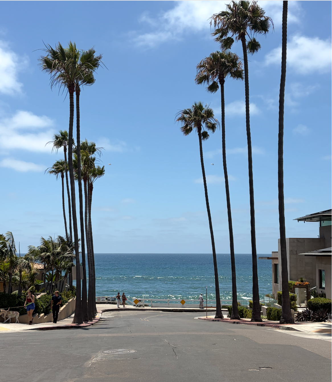 Your Local's Guide to This Weekend in San Diego (June 26–28)