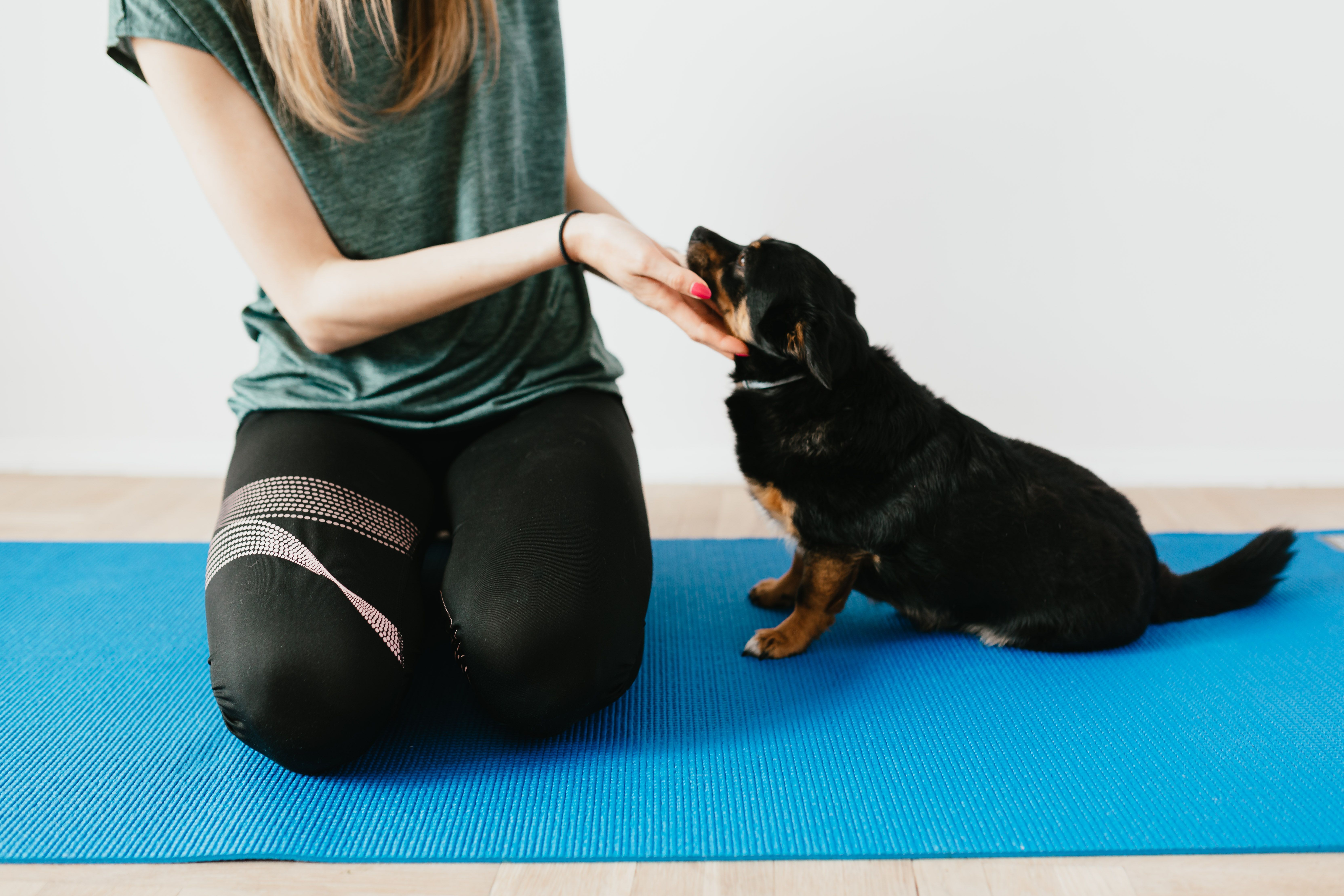 Kane's K9's Rescue Puppy Yoga: Saturday, June 20, 2026 at Bay City Brewing