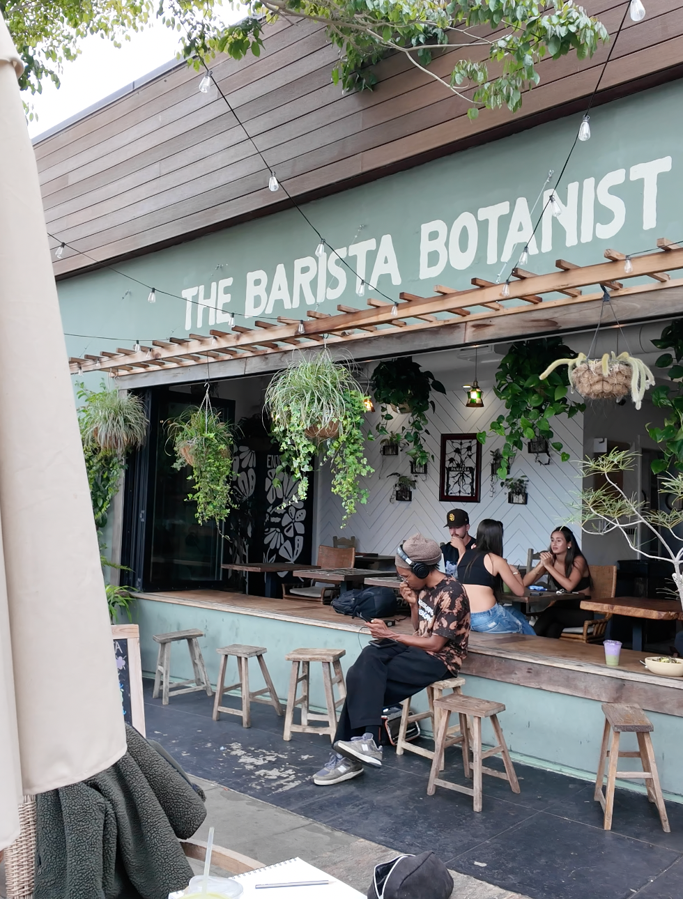 The Barista Botanist: Pacific Beach's Organic Coffee & Workspace Haven