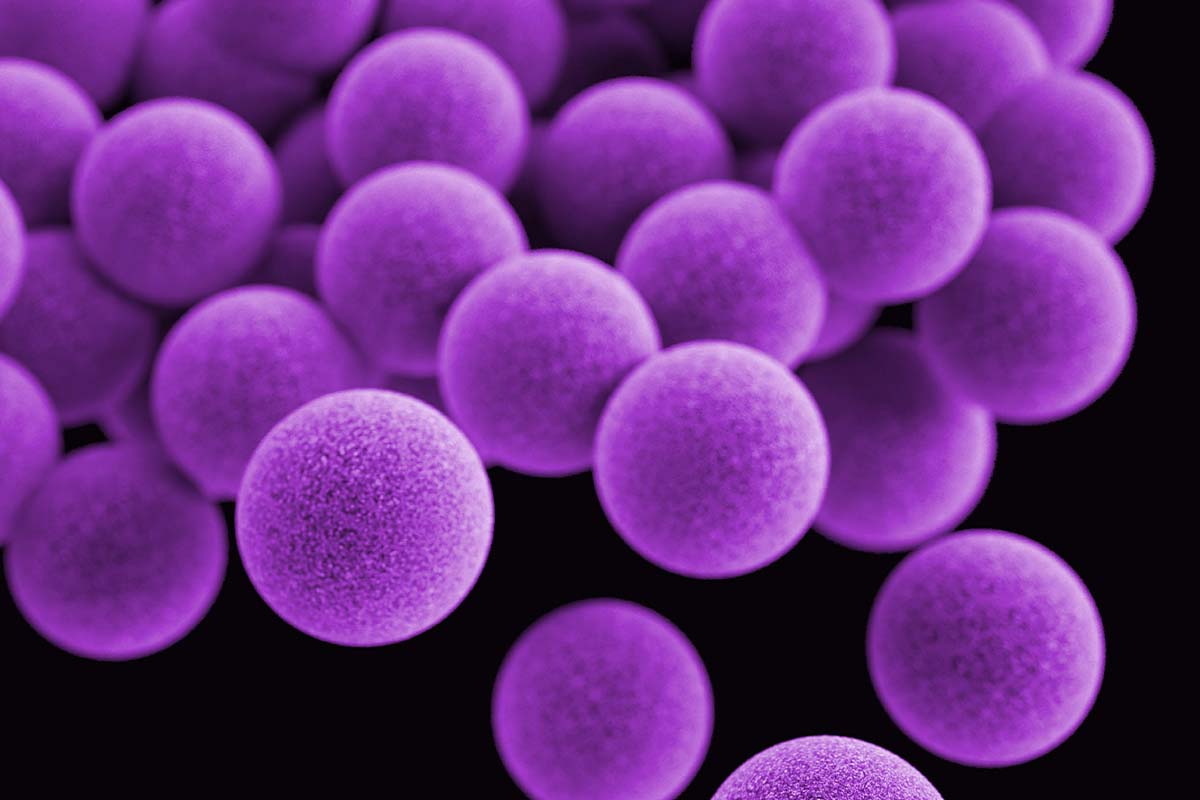 Study Finds Common Chemicals Linked To Preterm Birth