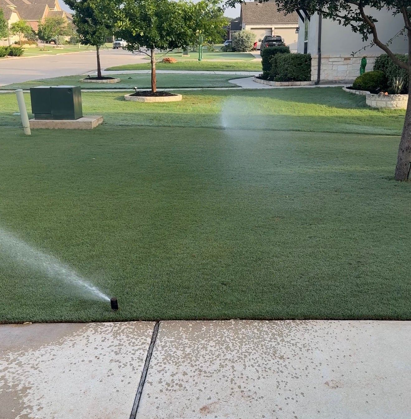 watering