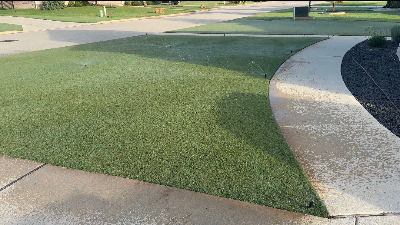 sprinklers irrigating