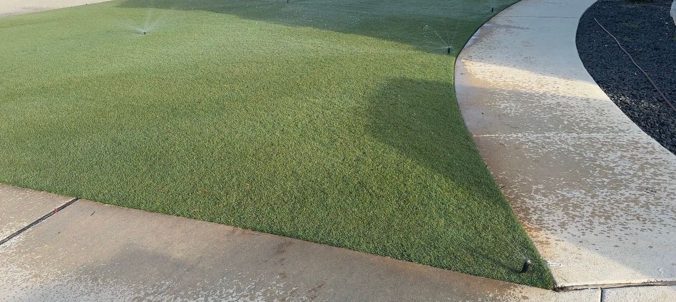 sprinklers irrigating