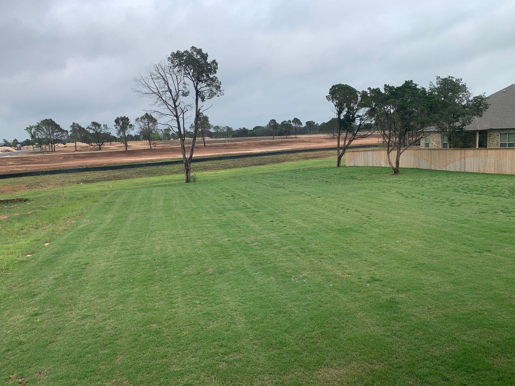 Builder Grade Bermuda