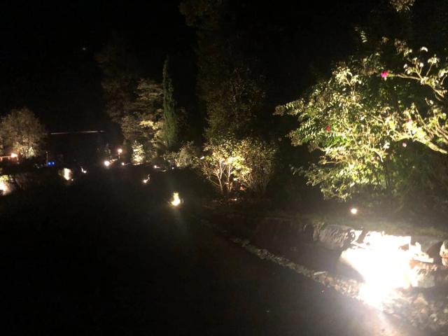Path and driveway lighting at a stone home