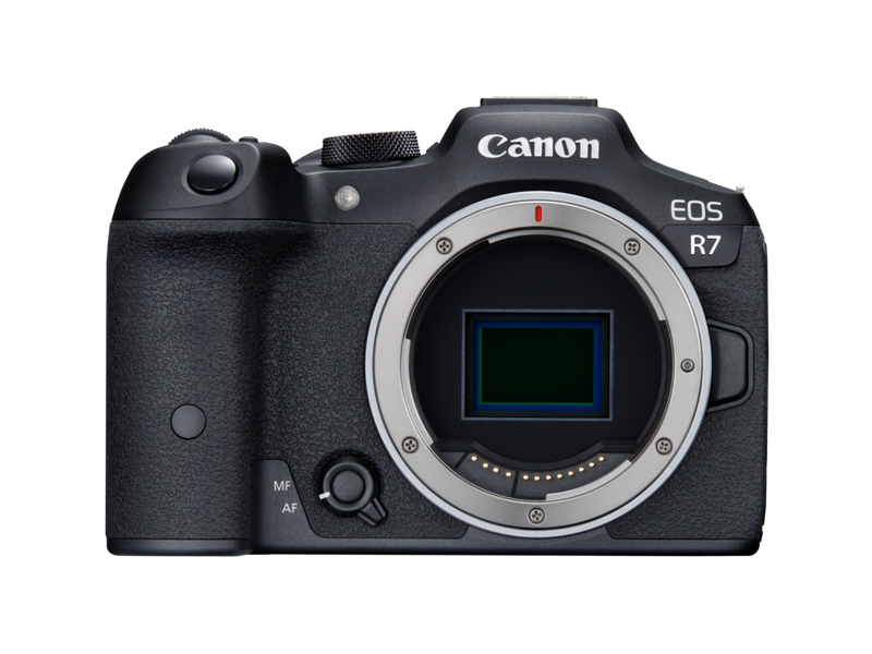 5 Best Cameras for Sports Photography in 2026