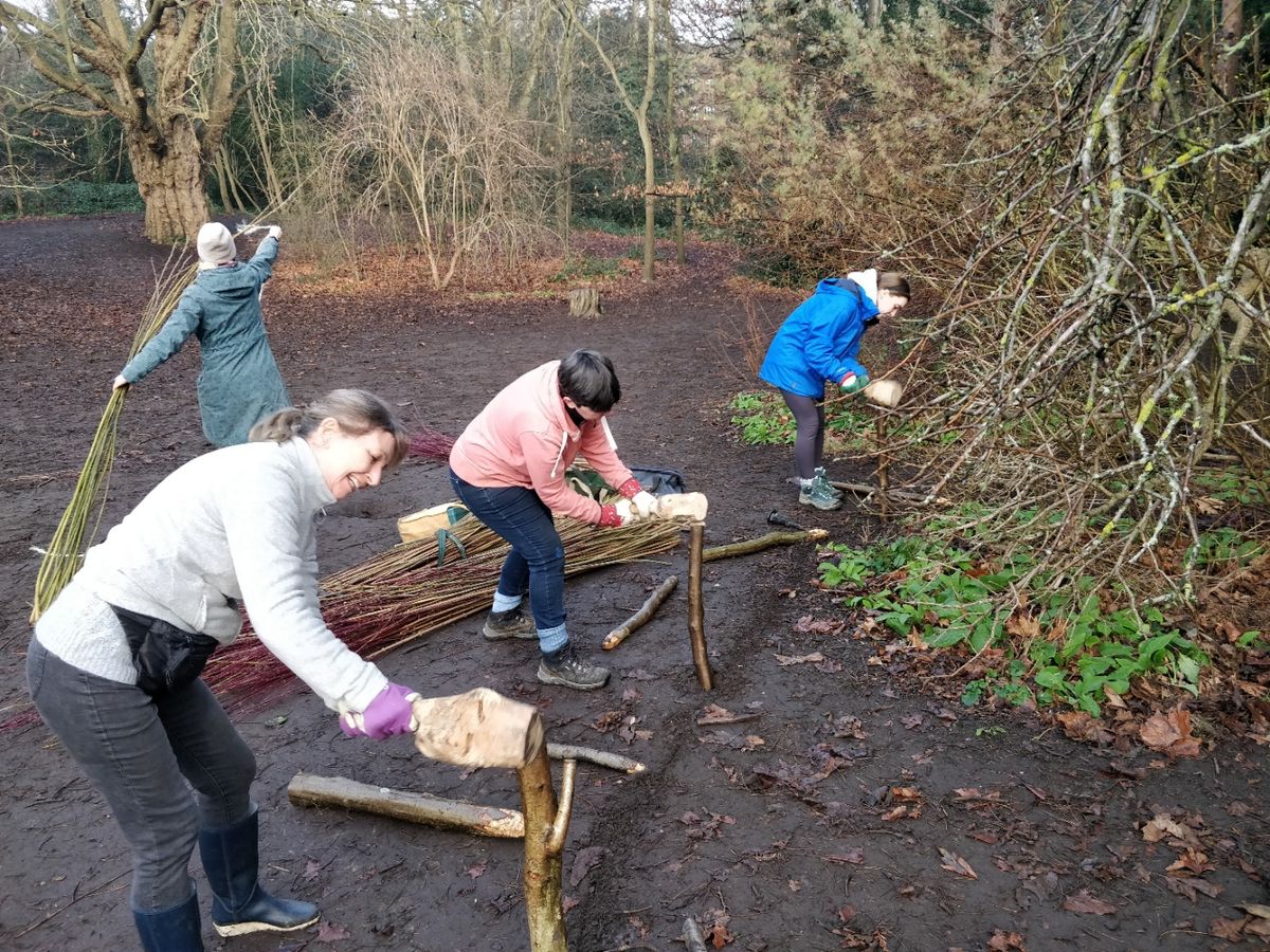 Join in our Winter Action Day