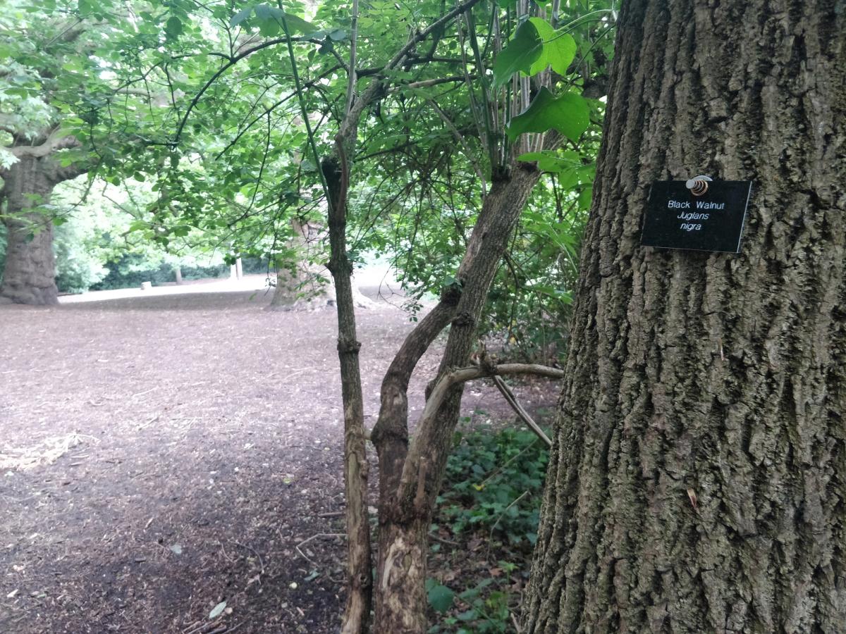 The Mycenae Arboretum (Part 2)