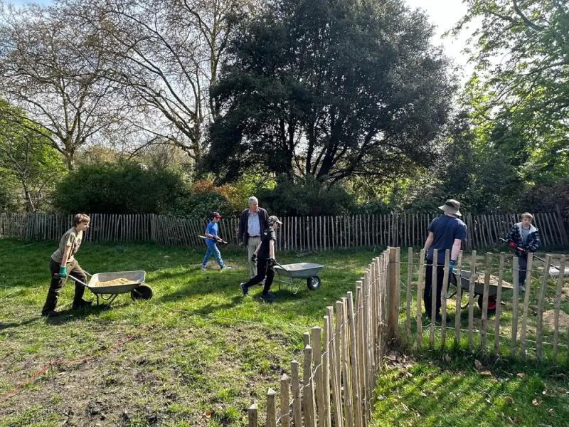 Scouts dig over the wildlife meadow