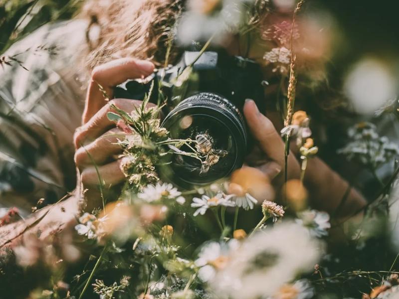 Calling all amateur photographers