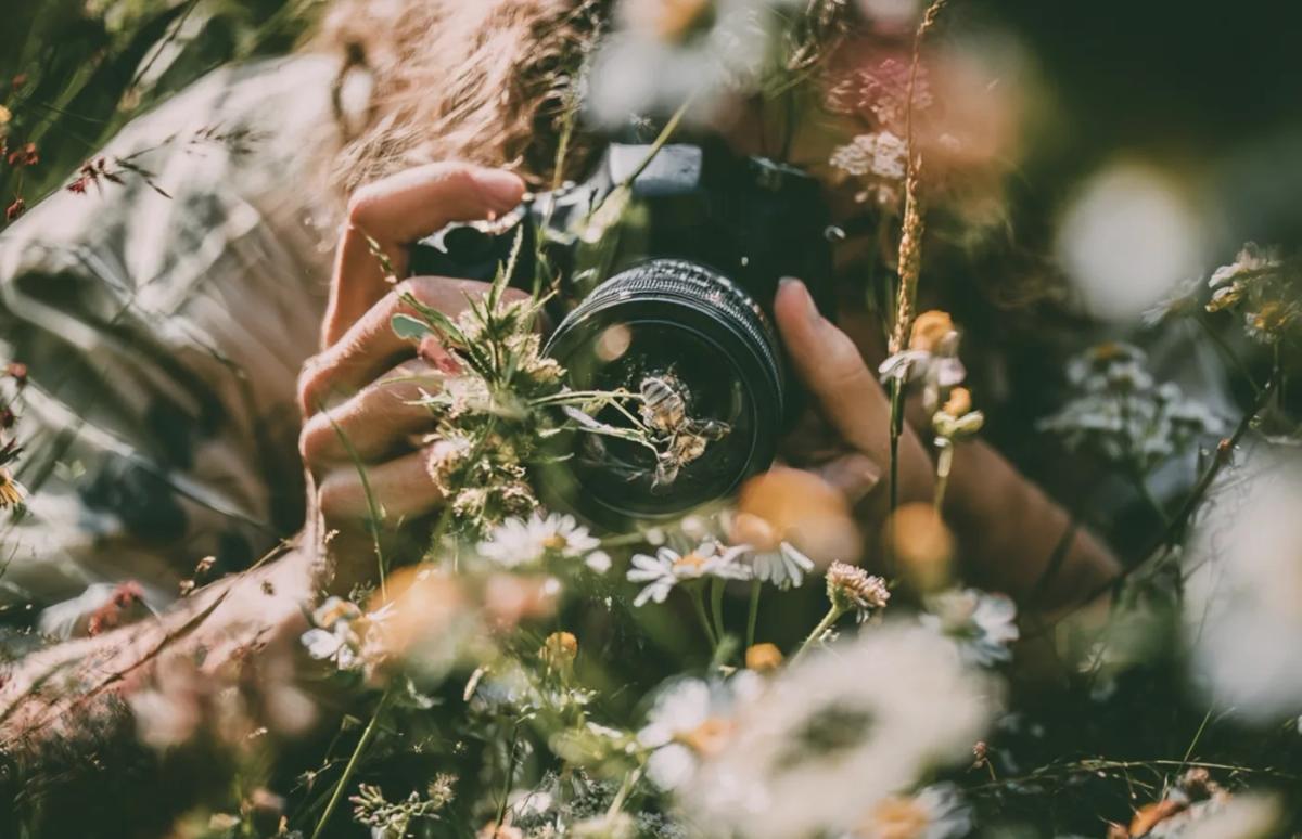 Calling all amateur photographers