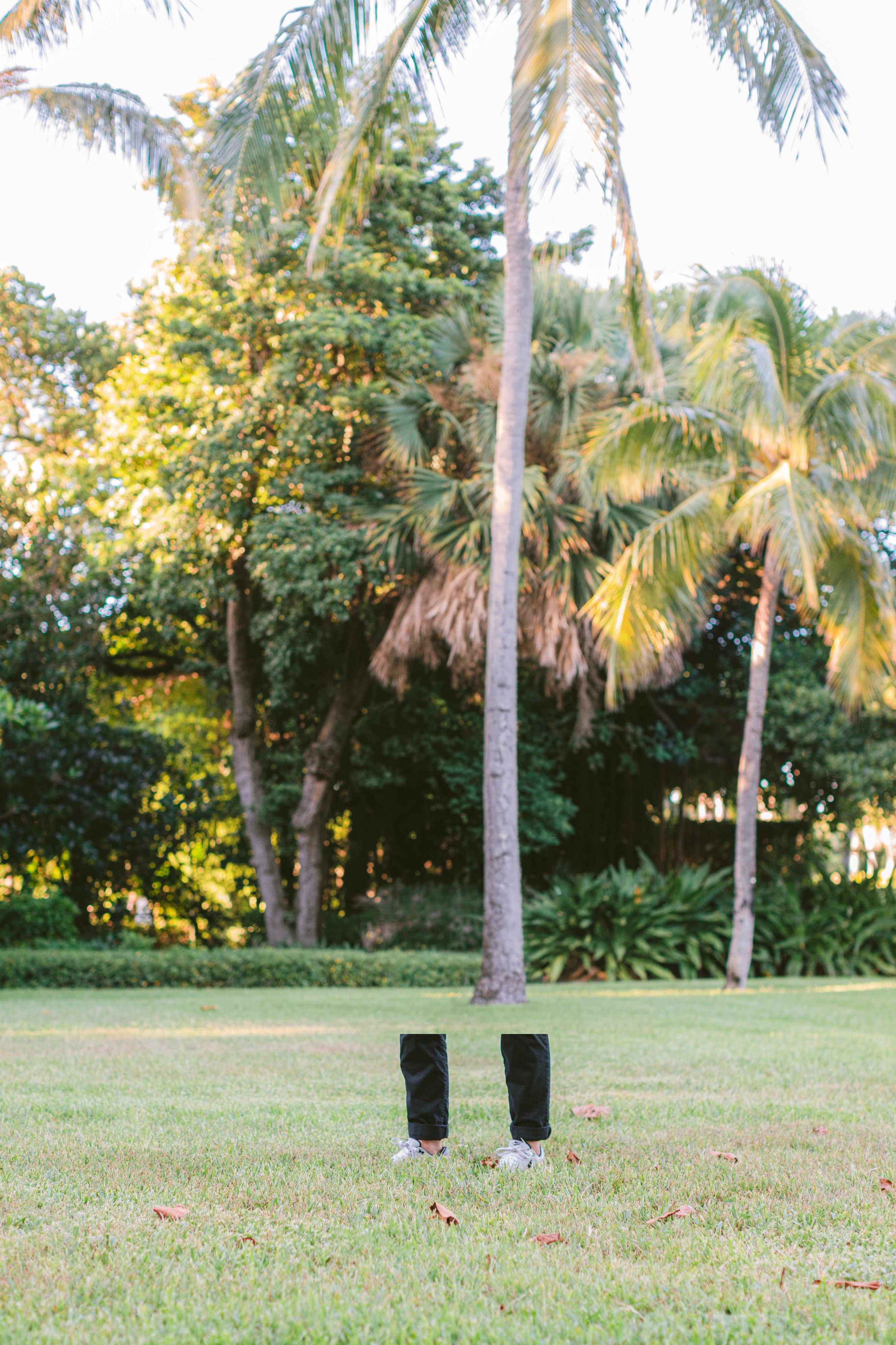 Cash Lambert on a lawn under palm trees, a football in the air above him