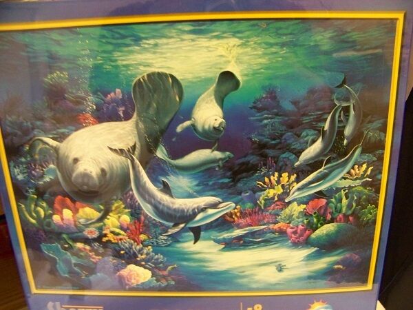 Close Encounter 300 piece puzzle