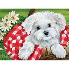 Basket of Joy - White Puppy (300 Piece Large Format Puzzle