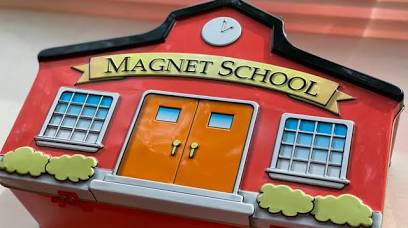 Magnet School