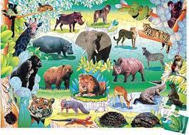 Wildlife Floor Puzzle