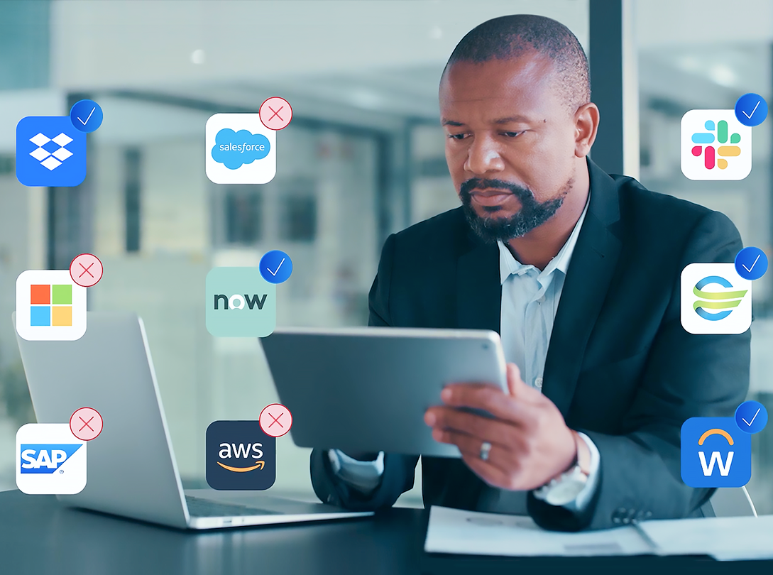 Professional reviewing application access with IdentityIQ