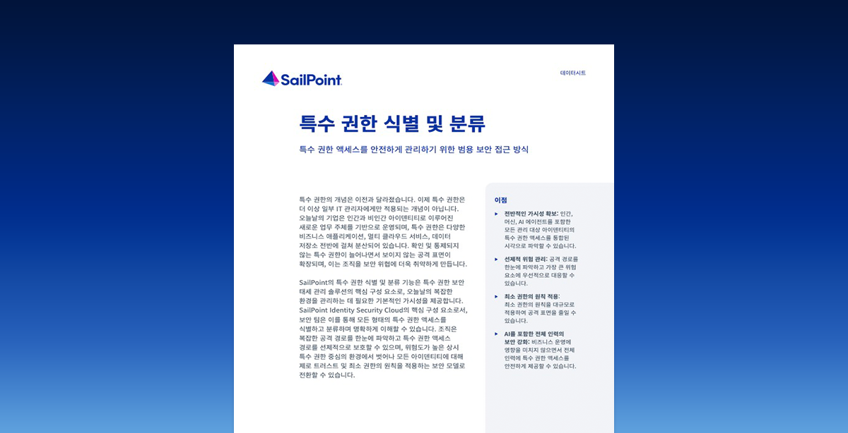 특수 권한 식별 및 분류
