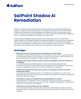Shadow AI Remediation